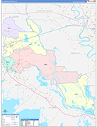 St. Martin County Wall Map Color Cast Style
